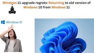 The ultimate guide to switching back from Windows 11 to Windows 10 |  Reverting to old version