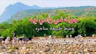جوله في وادي ليه Leh Valley tour