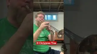 O Christmas Tree