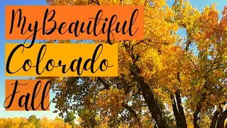 Fall Colors in Colorado | My Beautiful Colorado Fall 2020 | & Happy Thanksgiving!