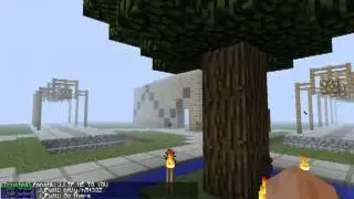 Minecraft server, PWNCRAFT IP in discription