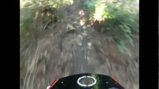 TSUNAMI E GIOSTRA