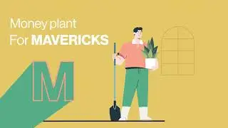 Decorate Your Home With These Pots & Planters | Home Gardening Plants Ideas | Vaaree