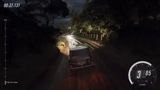DiRT Rally 2.0 (chocapinto