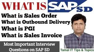 SAP SD Module | Interview Questions Answer | T-Codes on SD Module | SAP SD Process | SAP SD Overview