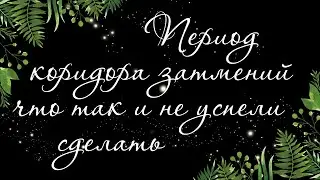 210 🍉 КОРИДОР ЗАТМЕНИЙ. ЧТО ТАК И НЕ СДЕЛАЛИ | Расклад Таро онлайн
