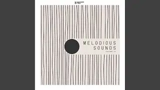 Moonstore (The Dualz Remix)