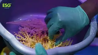 Unveiling OceanQuest: Dr. Martin Visbeck on Deep Sea Exploration & Global Collaboration