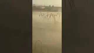 strong northerly gale creates a beach sandstorm