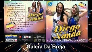 Diego e Nanda Os Cobrinhas Do Forr&oacute; vol.6 - Galera Da Breja