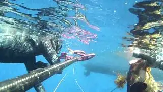 DOPO LA SINCOPE: ritorno in acqua