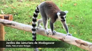 Zoo de la Bourbansais