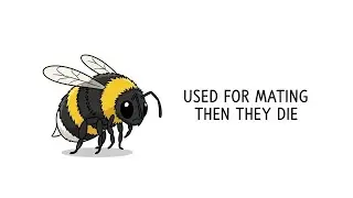 Why it Sucks to Be Born a Honey Bee