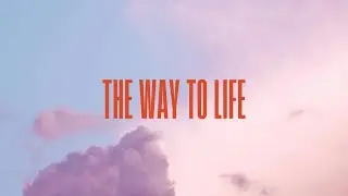 Midnight Moon. - The Way To Life (Visualizer)