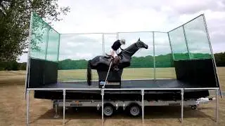 The Polo Pony Simulator