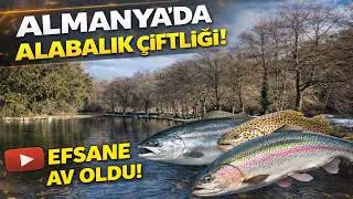 Almanya'da Alabalık avı, efsane av oldu | Solo Fishing 🇹🇷 İbrahim Hakkı Özel