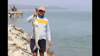 Another multi species fishing trip off the rocks of Konkan