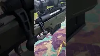 Высокоточная винтовка Savage AXIS