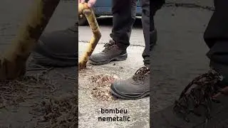 Pantofi de lucru confortabili cu bombeu - Exena Salina