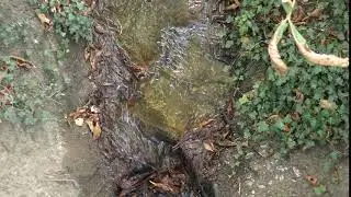 Relaxing sound of water flowing on Fleam Dyke Historic Earthworks 15sep19 403p