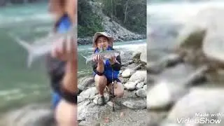 Chocolate Mahseer Fishing in Teesta River at Singtam
