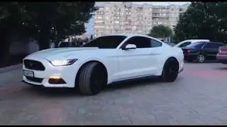 FORD MUSTANG Review