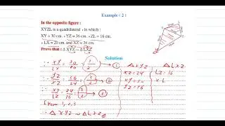 2nd and 3rd cases of similarity