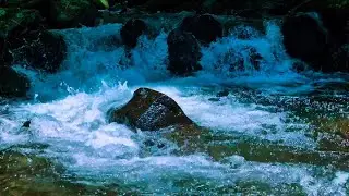 Relaxing River Meditation  Deep Calm Water Sounds