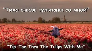 Tiny Tim - Tip-Toe Thru The Tulips With Me (RUS cover) by AngleSpruce