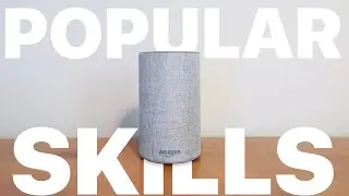 Have You Seen These Popular Amazon Echo Skills?! (2019)