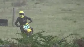 yz1