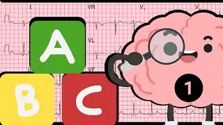 ABC del electrocardiograma: Principios fundamentales que debes conocer ( parte 01)