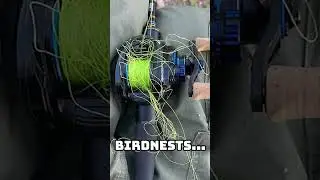 5 worst things that can happen... #fishing #zvejyba #fish #funny #top5