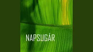 Napsug&aacute;r (feat. Helga Kreiter) (Radio Edit)