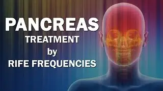 Pancreas - RIFE Frequencies Treatment - Energy & Quantum Medicine with Bioresonance