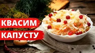 Хрустящая квашеная капуста с клюквой в собственном соку на зиму.  Как квасить капусту дома, рецепт.