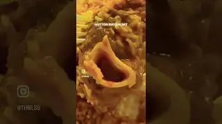 Mutton Biryani Set #muttonbiryani #muttonbriyani #mutton #biryani #briyani #papadum