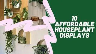 10 Affordable Houseplant Displays | Cheap Plant Stands