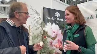 New varieties of winter-flowering cherry trees top gardening awards