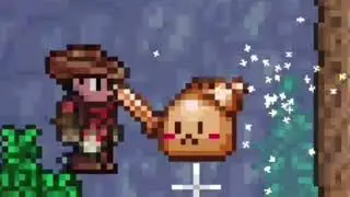 Went you accidentally drop a copper sword (Terraria gameplay)
