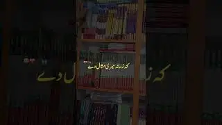 Busines | Book shop business in Pakistan | #pakistan #urdu #books