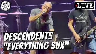 Descendents 