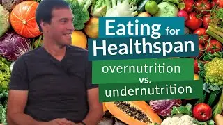 Eating to extend healthspan: overnutrition vs undernutrition | Ray Cronise