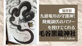 福井県【毛谷黒龍神社】境内各所にパワースポット!浄化をするならここ！黒龍・白龍の二柱