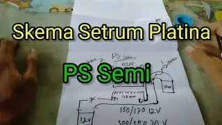 Skema Setrum ikan Platina Tipe Ps semi Ganas