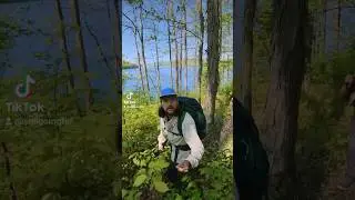 But I still have fun! #hiking #nature #backpacking