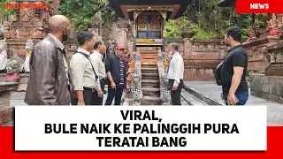 Viral Bule Naik ke Palinggih Pura Teratai Bang, Begini Penjelasan Perbekel Candikuning