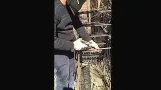 HPD code repair Fire escape Manhattan