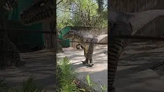 chhatbir zoo zirakpur #india #chhatbirzoo ##canada #chandigarh #dianasour #zirakpur