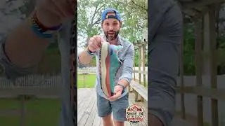 Unboxing Rabbit&rsquo;s First Trail Shoe! The High Country Is Here #shoes #shorts #running